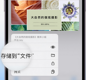 阿尔山apple维修中心分享iPhone文件应用中存储和找到下载文件