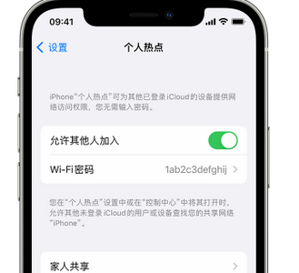 阿尔山apple服务站点分享iPhone上个人热点丢失了怎么办 