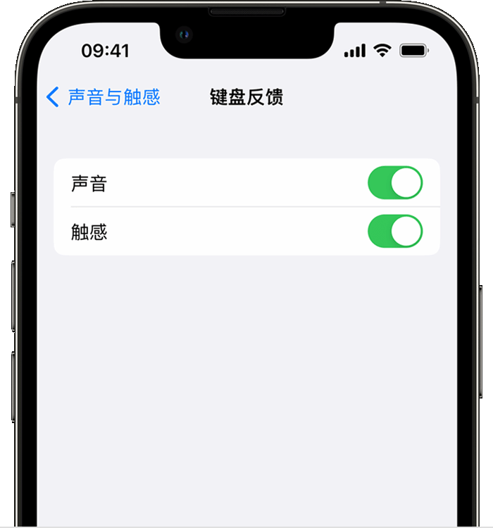 阿尔山苹果14维修店分享如何在 iPhone 14 机型中使用触感键盘 