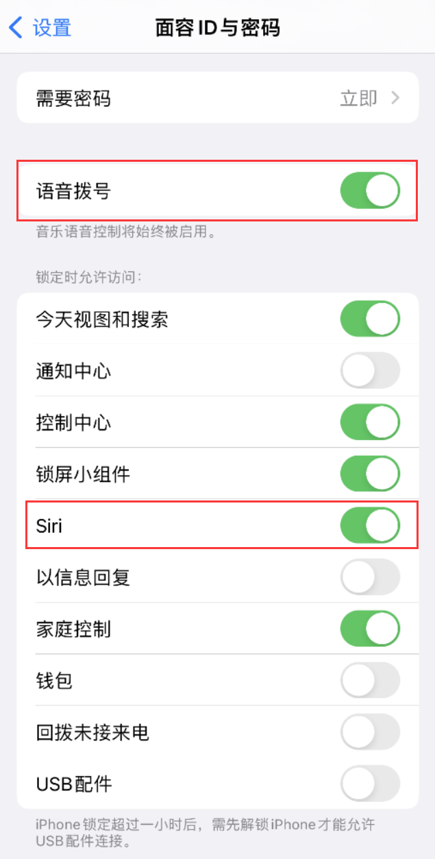 阿尔山苹果维修网点分享不解锁 iPhone 的情况下通过 Siri 拨打电话的方法 