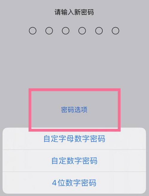 阿尔山苹果14维修分享iPhone 14plus设置密码的方法 