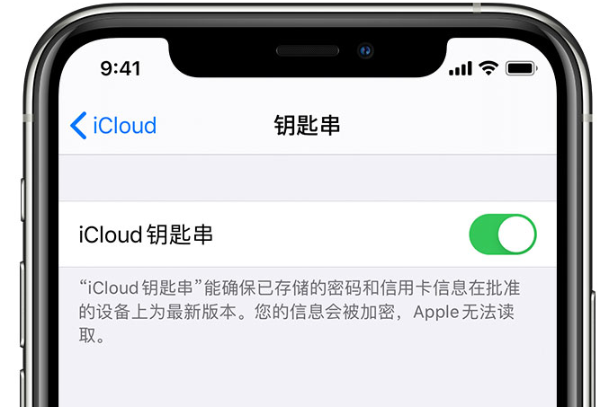 阿尔山苹果手机维修分享在 iPhone 上开启 iCloud 钥匙串之后会储存哪些信息 