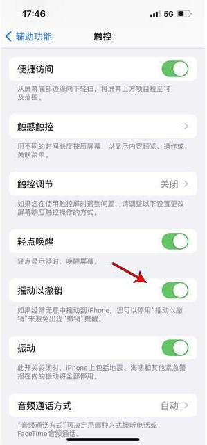 阿尔山苹果手机维修分享iPhone手机如何设置摇一摇删除文字 