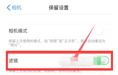 阿尔山苹果13维修分享iPhone13拍照有绿点是怎么回事 