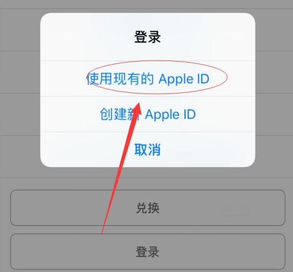阿尔山苹果手机维修分享两台iPhone设备可以同时登录一个Apple ID吗 