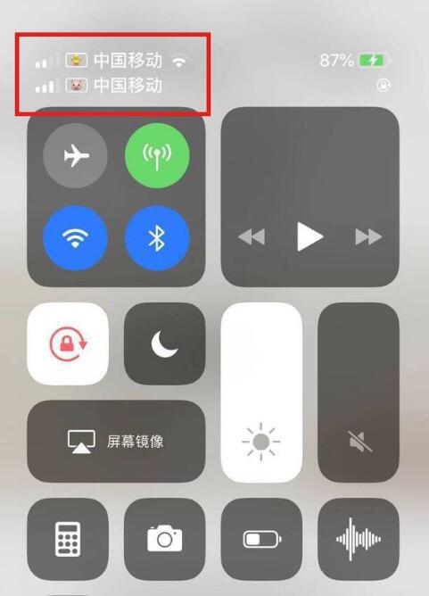 阿尔山苹果手机维修分享为 iPhone 12 双卡设置标签 
