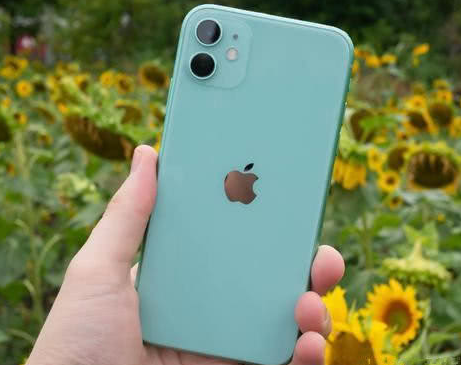 阿尔山苹果维修点分享iPhone 11锁屏密码认知与使用科普 